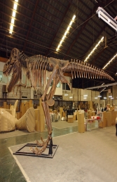T Rex Skeleton (JR 2602) - Thumbnail 02