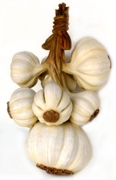 Bunch of Garlic 3.5ft (JR 2516) - Thumbnail 02