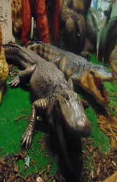 American Alligator in Bronze (JR 080142B) - Thumbnail 03