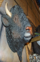 Bison Head (JR 180039) - Thumbnail 02