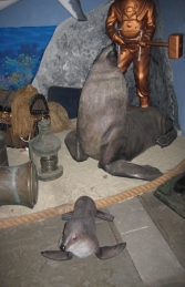 Baby Fur Seal (JR 100094) - Thumbnail 02