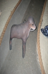 Baby Fur Seal (JR 100094) - Thumbnail 03