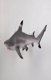 Shark Black Tip Reef (JR 100074) - Thumbnail 01