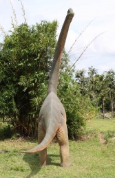Brachiosaurus Twisted Neck 15ft (JR 100061) - Thumbnail 02