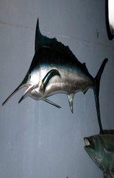 Blue Marlin (JR 130078) - Thumbnail 01