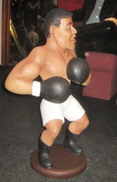 Boxer 1 (JR 2946) - Thumbnail 02