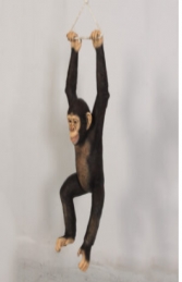 Monkey / Chimpanzee Baby (JR 080079)