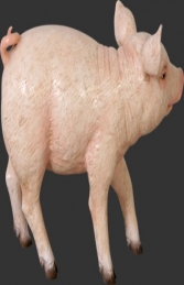 Piglet Chubby (JR 110084)	 - Thumbnail 03