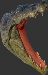 Crocodile Head Wall Plaque (JR 110086)
