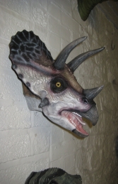 Definitive Triceratops Head (JR 110081) - Thumbnail 02