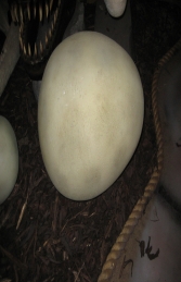 Dinosaur Egg Large (JR R-084-N) - Thumbnail 03