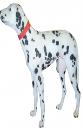 Dalmatian Dog (JR 2989) - Thumbnail 01