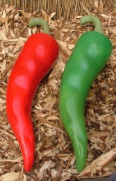 Chili Pepper - Green 73cm (JR 2479-b) - Thumbnail 03