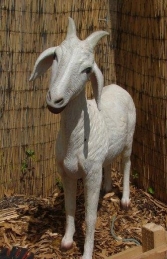 Goat life-size (JR 2340)