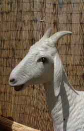 Goat life-size (JR 2340) - Thumbnail 03