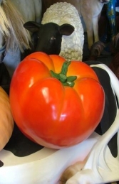 Tomato (JR 2527)