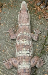 Alligator Kaiman 6.5ft long (JR 2212) - Thumbnail 03