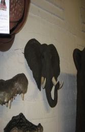 Elephant Head (JR DD88016A) - Thumbnail 03