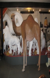 Dromedary Camel 7ft (JR 130007) - Thumbnail 01