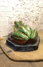 Giant Green & Gold Bell Frog on Rock JR 120070 - Thumbnail 03