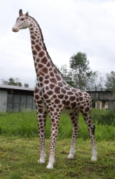 Giraffe 12ft (JR 090070)