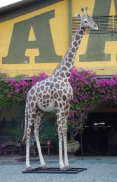 Giraffe Life-size 19ft tall (JR 2250) - Thumbnail 01