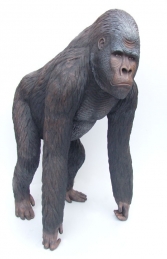 Gorilla Life-size (JR 2299) - Thumbnail 01
