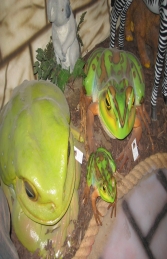 Green and Golden Bell Frog (JR 100003) - Thumbnail 02