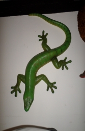 Gecko 80cms - (JR 150045) - Thumbnail 01