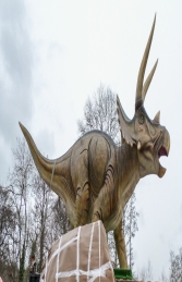 Giant Triceratops (JR 140098) - Thumbnail 03