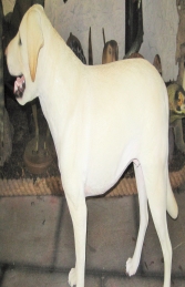 Labrador standing - Yellow (JR 2950)