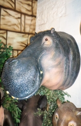 Hippo Head (JR 150262) - Thumbnail 02