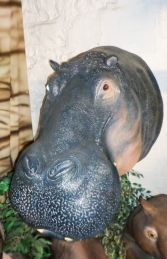 Hippo Head (JR 150262) - Thumbnail 03