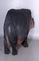 Hippopotamus (JR 140043) - Thumbnail 02