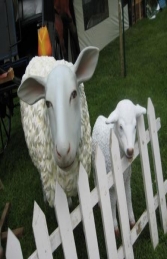 Lamb life-size (JR 2362) - Thumbnail 02