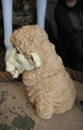Merino Sheep Head 3 (JR 110046) - Thumbnail 02