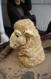 Merino Sheep Head 2 (JR 110045) - Thumbnail 02