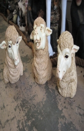 Merino Sheep Head 2 (JR 110045) - Thumbnail 03