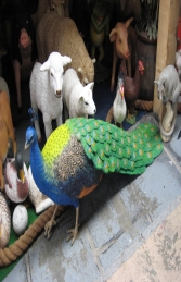 Peacock Male (JR 2686) - Thumbnail 01