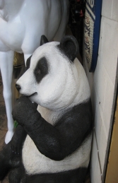 Panda Eating (JR 110040)	 - Thumbnail 02