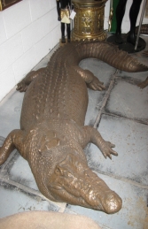 Crocodile in Bronze 12ft Long (JR 080123B)	 - Thumbnail 03