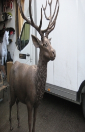 Red Deer Stag in Bronze (JR 110116b)	
