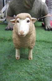 Merino Sheep head up - Small (JR 110126) - Thumbnail 02