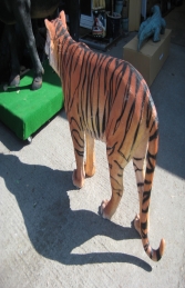 Sumatran Tiger (JR 100078) - Thumbnail 02