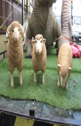 Merino Sheep head down - Small (JR 110125) - Thumbnail 03