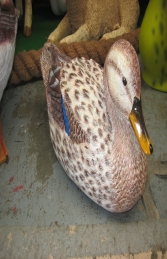 Duck - Mallard Female (JR 110020) - Thumbnail 02