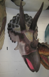 Triceratops Head (JR 110016)	 - Thumbnail 03