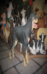 Rottweiler (JR 2934) - Thumbnail 03