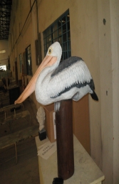Pelican on Post (JR 080119)