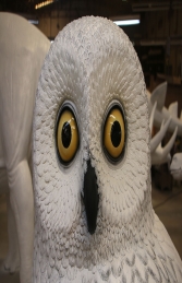 TAWNY OWL -SNOWY OWL JR 190022S - Thumbnail 02